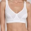 Schiesser Bustier Mit Cups - Cotton 95/5 -Lingerie Verkauf schiesser bustier mit cups cotton 95 5 155733